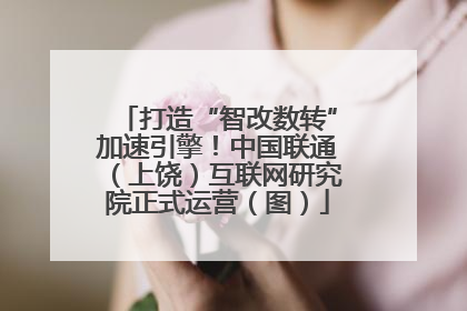 打造“智改数转”加速引擎！中国联通（上饶）互联网研究院正式运营（图）