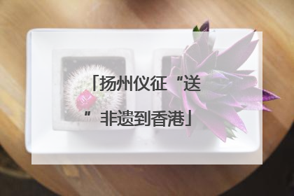 扬州仪征“送”非遗到香港
