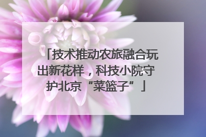 技术推动农旅融合玩出新花样，科技小院守护北京“菜篮子”