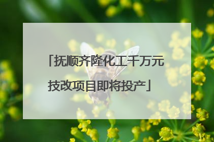 抚顺齐隆化工千万元技改项目即将投产