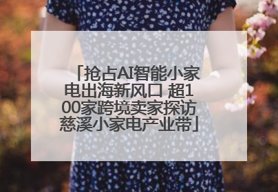 抢占AI智能小家电出海新风口 超100家跨境卖家探访慈溪小家电产业带