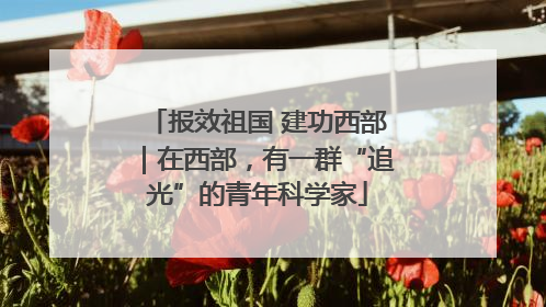 报效祖国 建功西部｜在西部，有一群“追光”的青年科学家