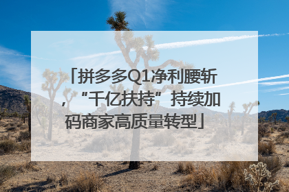 拼多多Q1净利腰斩，“千亿扶持”持续加码商家高质量转型