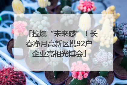 拉爆“未来感”！长春净月高新区携92户企业亮相光博会