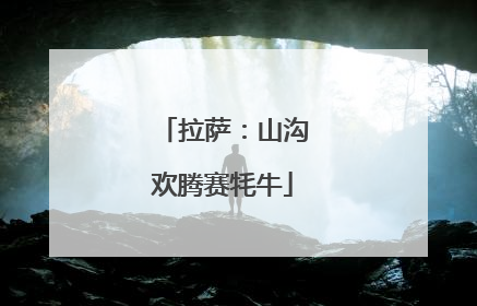 拉萨：山沟欢腾赛牦牛