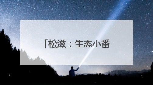 松滋：生态小番茄丰收 绿色农业助力农民增收