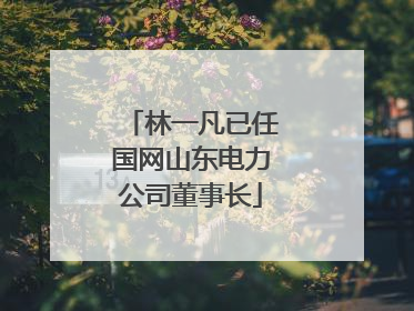 林一凡已任国网山东电力公司董事长