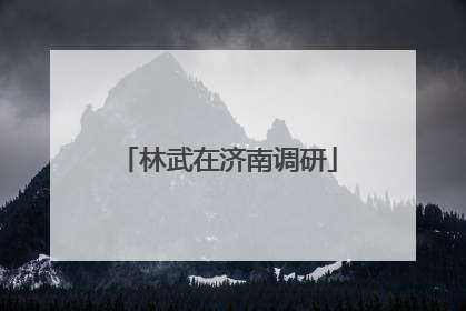 林武在济南调研