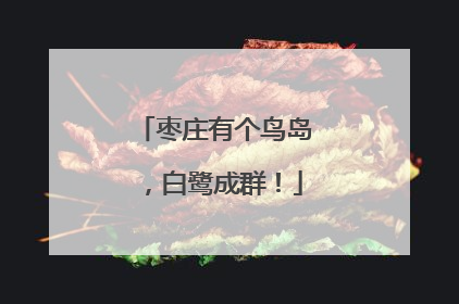 枣庄有个鸟岛，白鹭成群！