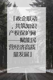 政企联动，共筑知识产权保护网——赋能民营经济高质量发展