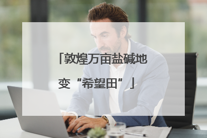 敦煌万亩盐碱地变“希望田”