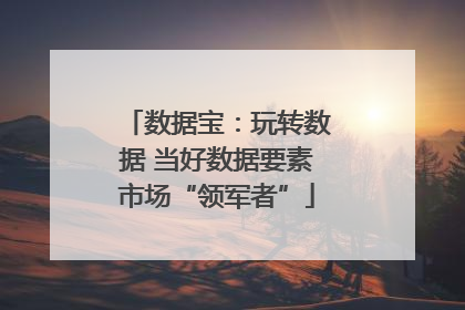 数据宝：玩转数据 当好数据要素市场“领军者”