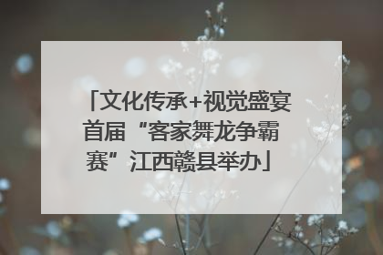 文化传承+视觉盛宴 首届“客家舞龙争霸赛”江西赣县举办