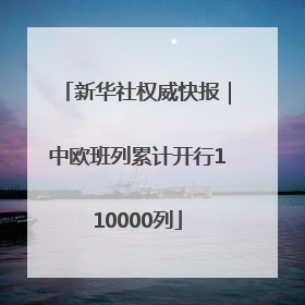新华社权威快报｜中欧班列累计开行110000列