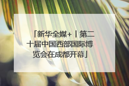 新华全媒+丨第二十届中国西部国际博览会在成都开幕