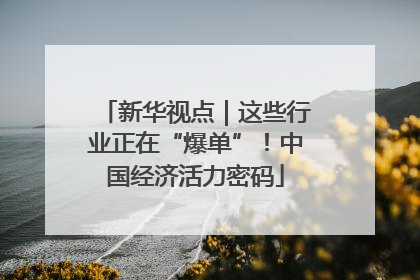 新华视点｜这些行业正在“爆单”！中国经济活力密码