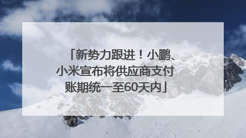 新势力跟进！小鹏、小米宣布将供应商支付账期统一至60天内