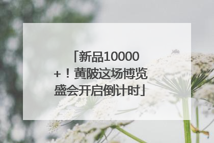 新品10000+！黄陂这场博览盛会开启倒计时