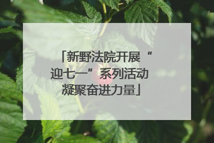 新野法院开展“迎七一”系列活动 凝聚奋进力量
