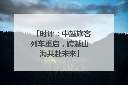 时评：中越旅客列车重启，跨越山海共赴未来