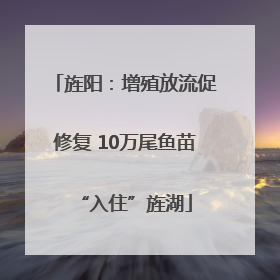 旌阳：增殖放流促修复 10万尾鱼苗“入住”旌湖