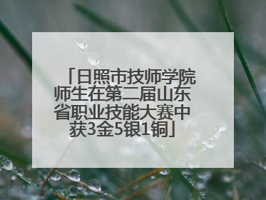 日照市技师学院师生在第二届山东省职业技能大赛中获3金5银1铜