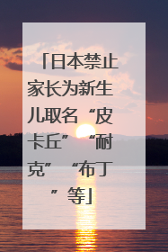 日本禁止家长为新生儿取名“皮卡丘”“耐克”“布丁”等