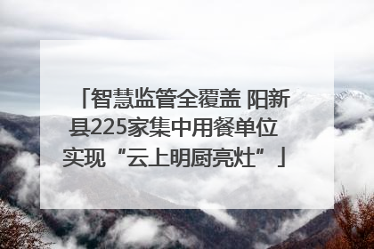 智慧监管全覆盖 阳新县225家集中用餐单位实现“云上明厨亮灶”