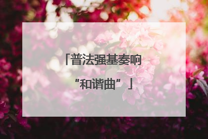 普法强基奏响“和谐曲”