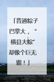 普通粽子巴掌大，“横县大粽”却像个巨无霸！