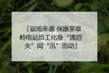 暴雨来袭 保康茅草岭电站员工化身“清道夫”闻“汛”而动