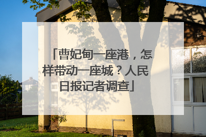 曹妃甸一座港，怎样带动一座城？人民日报记者调查