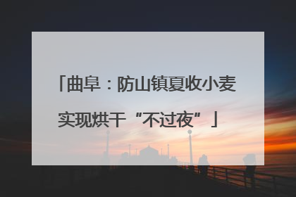 曲阜：防山镇夏收小麦实现烘干“不过夜”