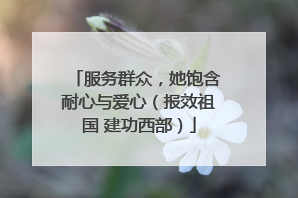 服务群众，她饱含耐心与爱心（报效祖国 建功西部）