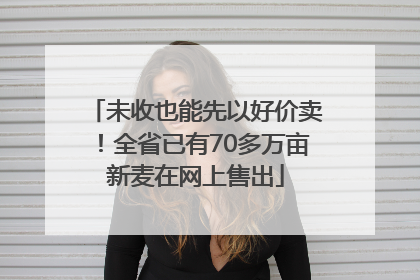未收也能先以好价卖！全省已有70多万亩新麦在网上售出