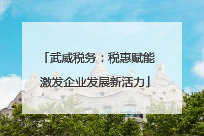 武威税务：税惠赋能 激发企业发展新活力