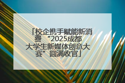 校企携手赋能新消费 “2025成都大学生新媒体创意大赛”圆满收官
