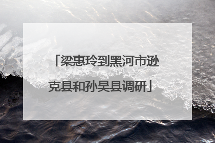梁惠玲到黑河市逊克县和孙吴县调研