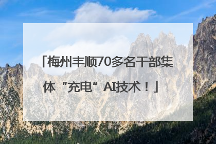 梅州丰顺70多名干部集体“充电”AI技术！