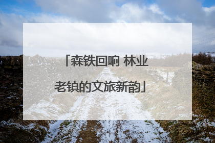 森铁回响 林业老镇的文旅新韵