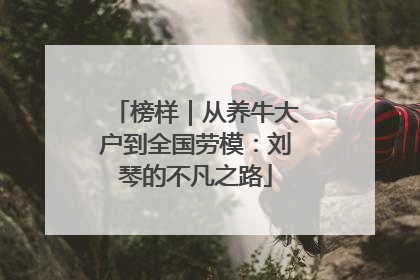 榜样｜从养牛大户到全国劳模：刘琴的不凡之路