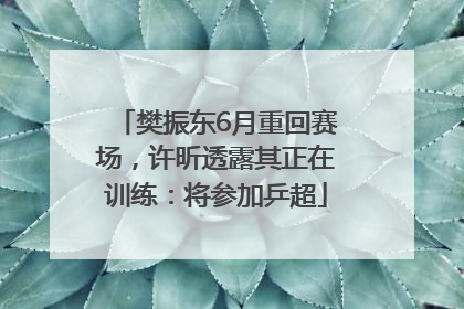 樊振东6月重回赛场，许昕透露其正在训练：将参加乒超