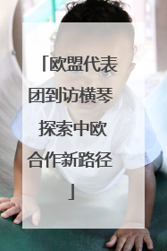 欧盟代表团到访横琴 探索中欧合作新路径