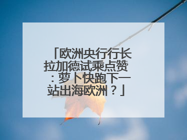 欧洲央行行长拉加德试乘点赞：萝卜快跑下一站出海欧洲？