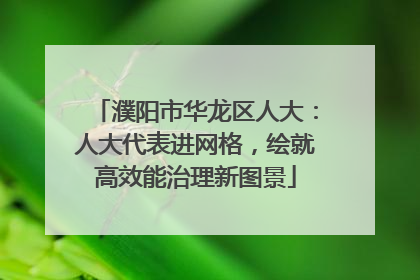 濮阳市华龙区人大：人大代表进网格，绘就高效能治理新图景