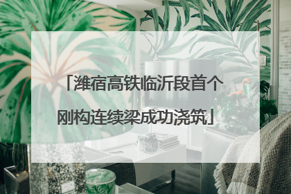 潍宿高铁临沂段首个刚构连续梁成功浇筑