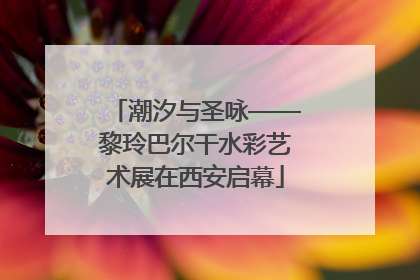 潮汐与圣咏——黎玲巴尔干水彩艺术展在西安启幕