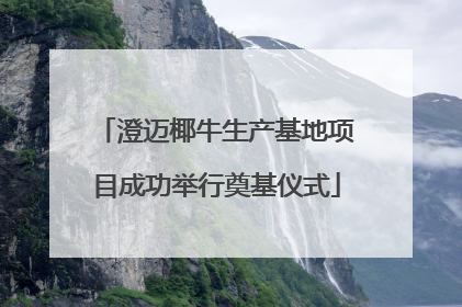 澄迈椰牛生产基地项目成功举行奠基仪式