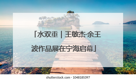 水双重｜王敏杰·余王波作品展在宁海启幕