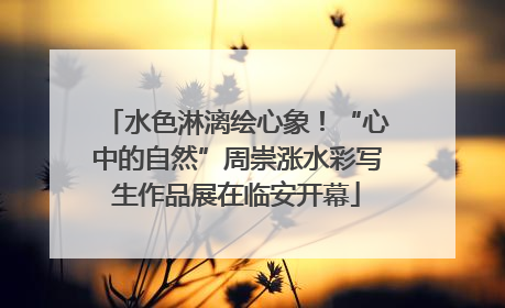 水色淋漓绘心象！“心中的自然”周崇涨水彩写生作品展在临安开幕